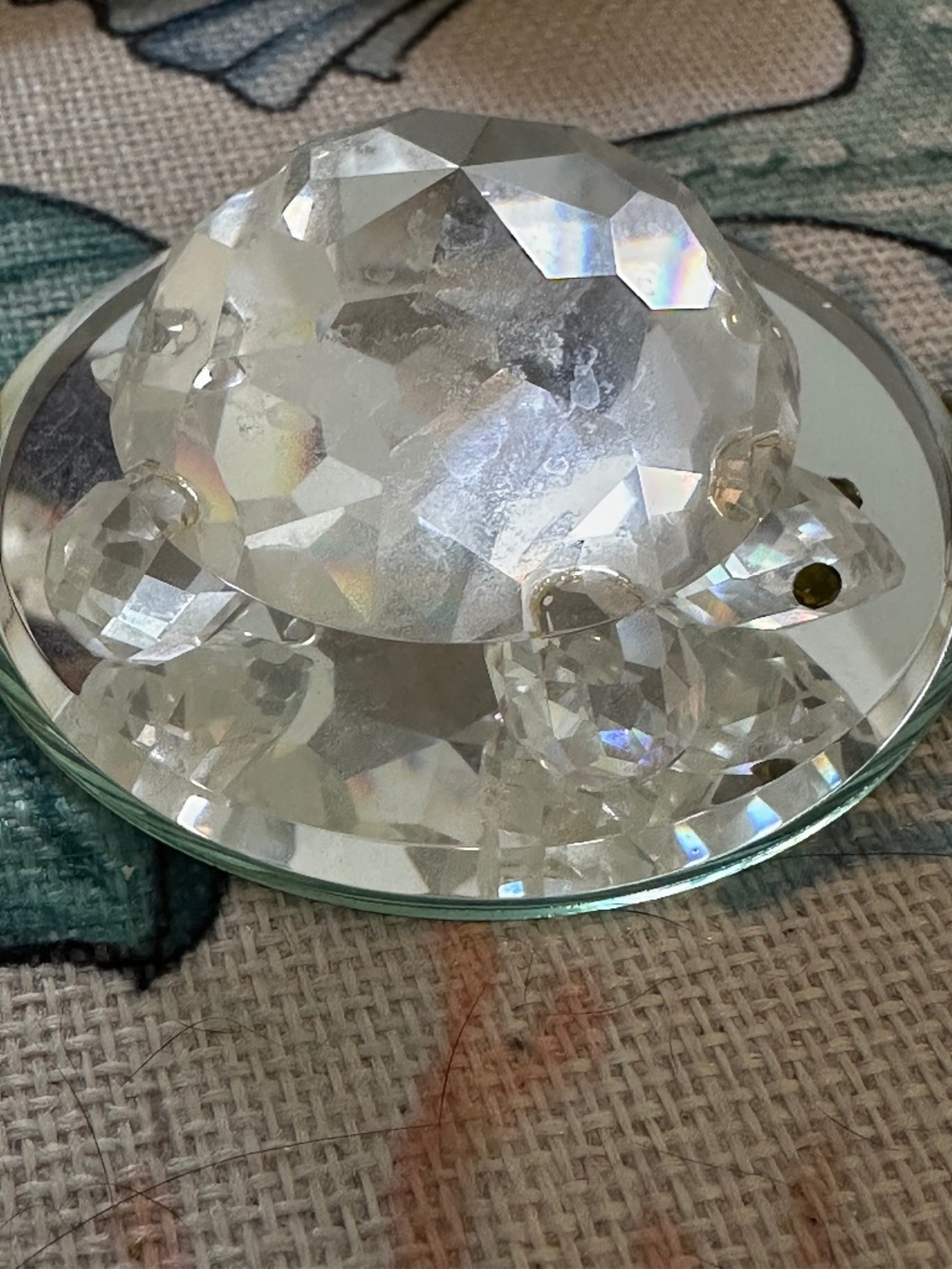 Swarovski turtle